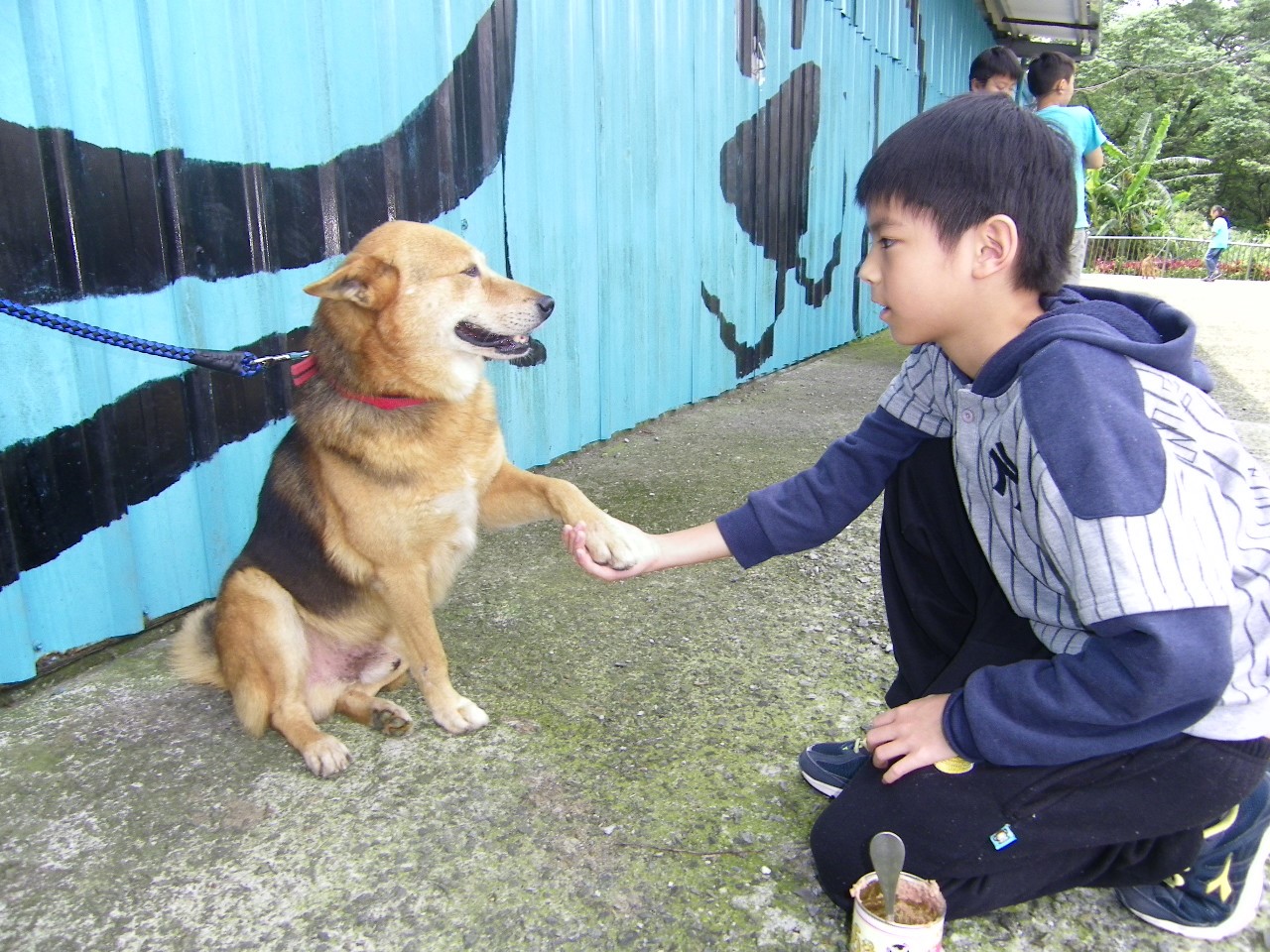 《寵物》寵物認養-學童參訪動物之家校外教學 體驗毛寶貝互動接觸