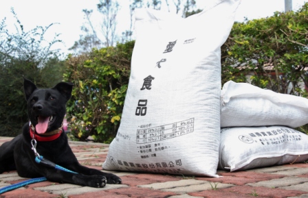 《寵物》寵物認養-愛在歲末年終時，市府加碼飼料助毛孩