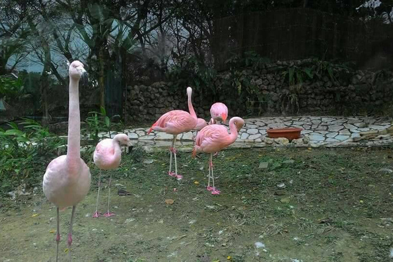 高雄市壽山動物園