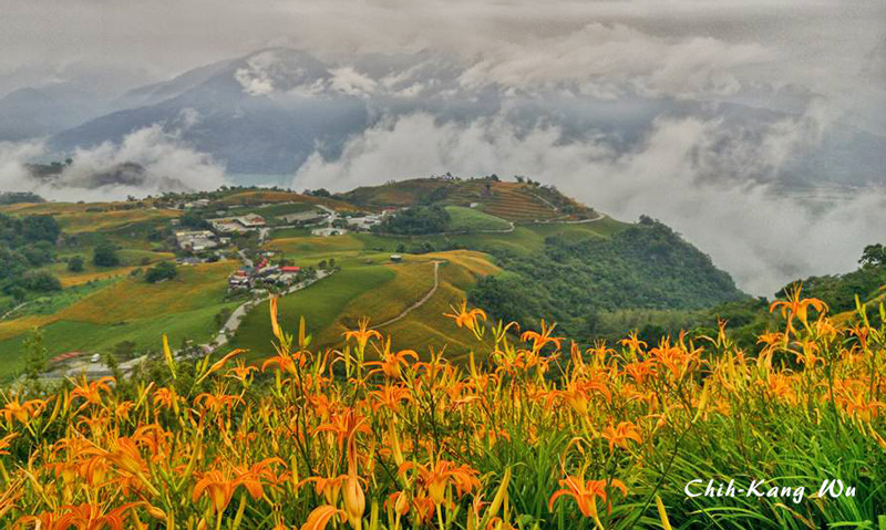 六十石山金針花季活動8/5-9/24