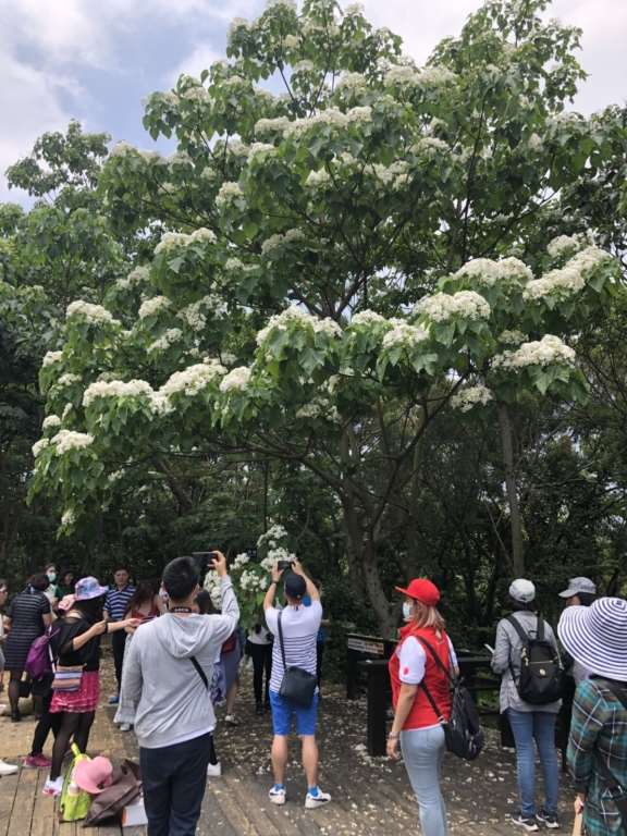 假期防疫不鬆懈！ 來場戶外森呼吸 感受苗栗大自然旅的舒心